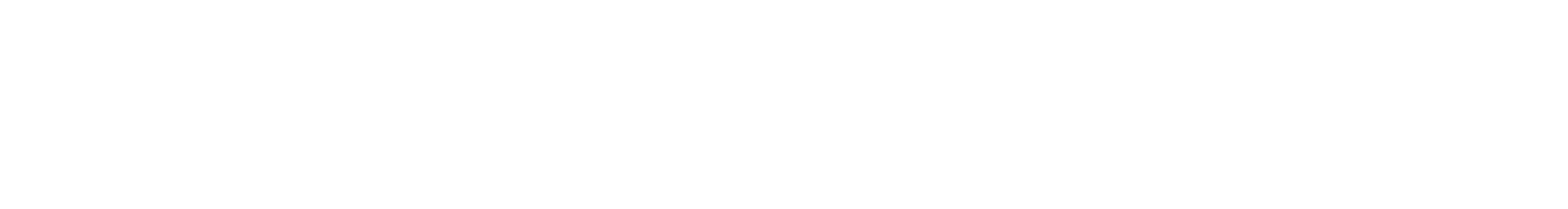 Belarusian Esports League