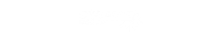 DYNAMI:T Energy Drink